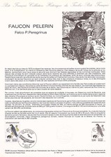 Document philatélique 1er