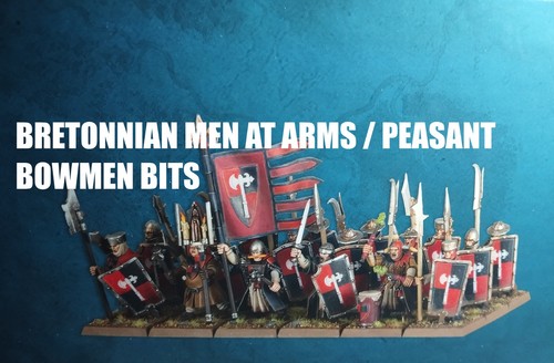 Warhammer the old world - the,