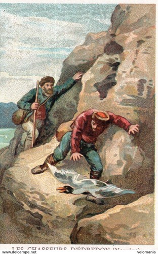 3324 chromo les chasseurs - 3324,