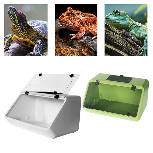 Aquarium pour tortues