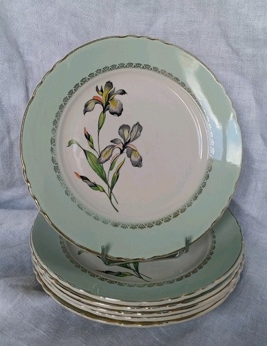 Assiettes plates faïence - 6,