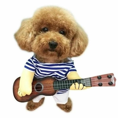 Déguisement pour chien - , joueur