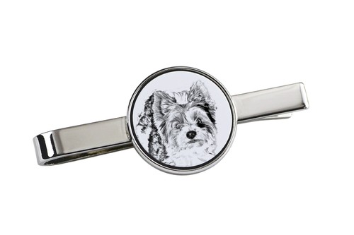Biewer yorkshire terrier - yorkshire,