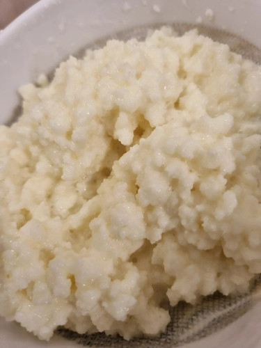 Kefir lait - lait, (20gr)