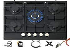 Phénix PG-701T Montage