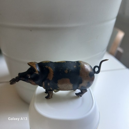 Cochon objet vitrine ancien - cochon,