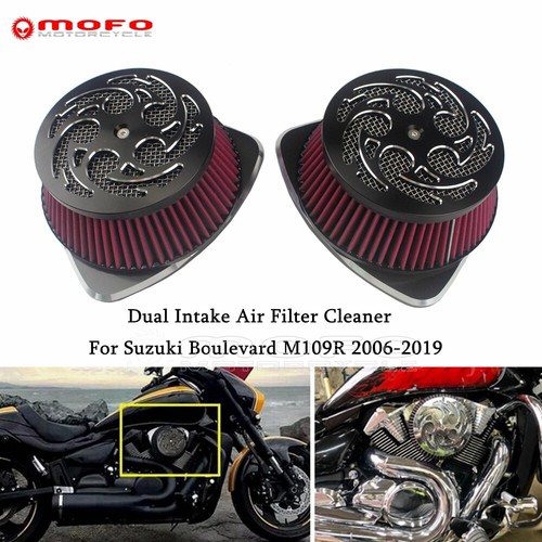 Dual intake air cleaner - dual,
