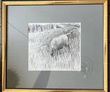 La Jument et son poulain au