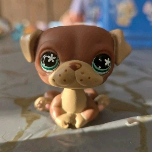 Littlest pet shop - shop, petshop