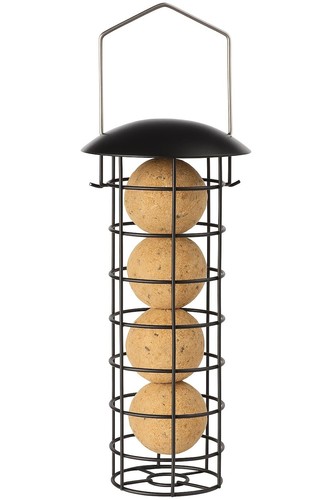 Mangeoire oiseaux extérieur - oiseaux,