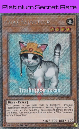 Chat sauveteur v 1 - sauveteur,