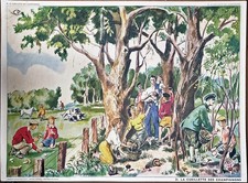 Planche scolaire Rossignol –