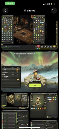 Vend compte dofus draconiros - vend,