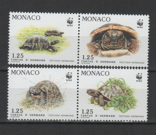 Monaco 1991 tortue hermann - monaco,
