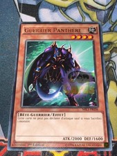 CARTE Yu Gi Oh GUERRIER