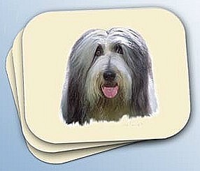 Bearded collie dog - bearded,
