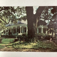 Louisiana Postcard Mid 1900s St. Francisville Catalpa Plantation