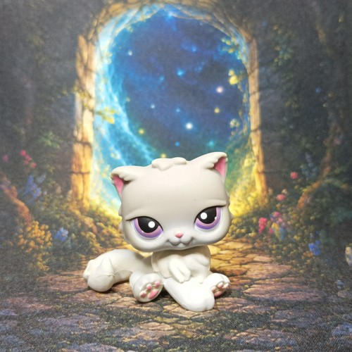 Chat persan 263 littlest - persan, #263