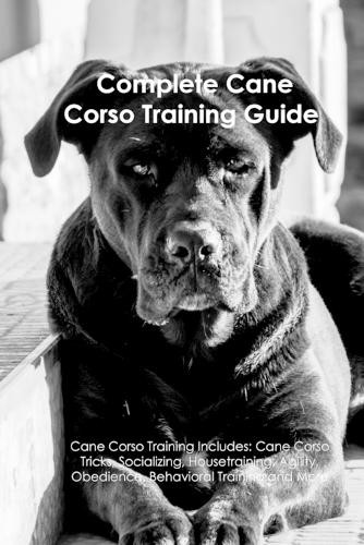 The cane corso - training, guide