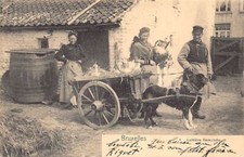 Belgique - BRUXELLES - Laitières flamandes - Voiture à chien - Ed/ Nels Série 1
