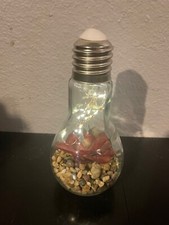 Succulent Glass Bulb Terrarium LED Night Light Indoor Outdoor Faux Succulent