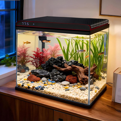 Gallon glass fish - 10,