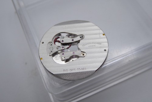 Module franck muller trans - module,