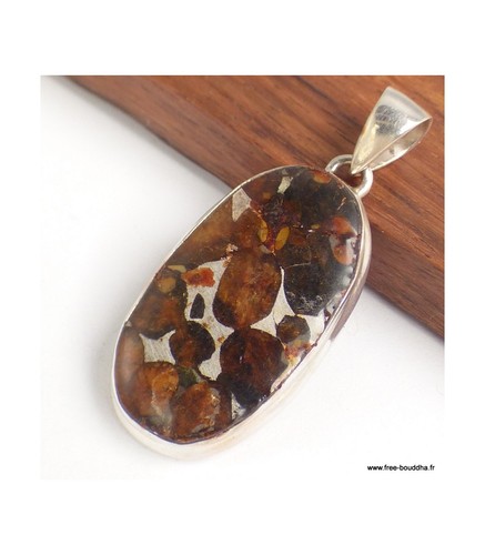 Gros pendentif authentique - gros,