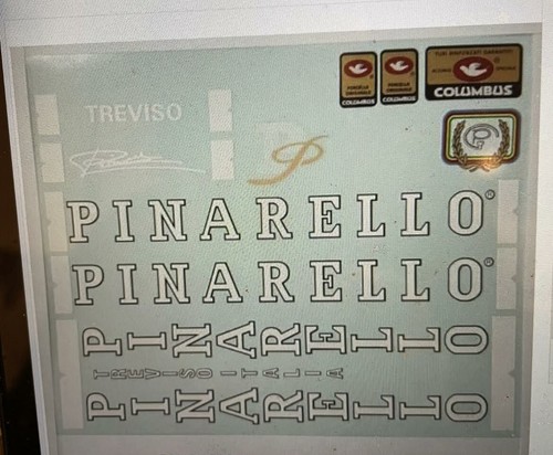 Vintage pinarello treviso - pinarello,