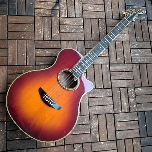 Guitare électrique acoustique