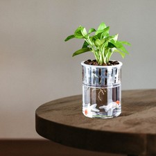  Aquarium En Plastique Bocal