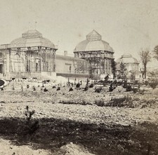 FRANCE Bordeaux Serre du Jardin Public c1865 Photo Stereo Vintage Albumin