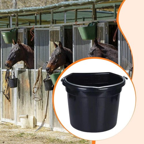Seau eau pour - pour, chevaux