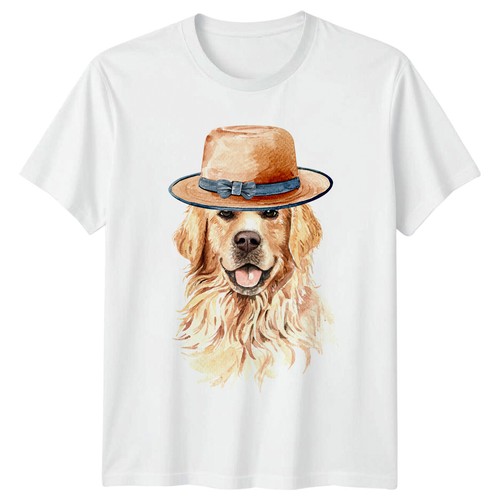 Golden retriever dog hat - dog,