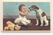 Teddy bear near a girl petting a dog