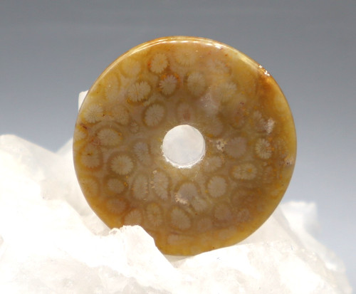 Nacre corail fossile donut - corail, ca