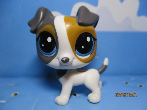 Petshop chien jack russel - petshop, lps
