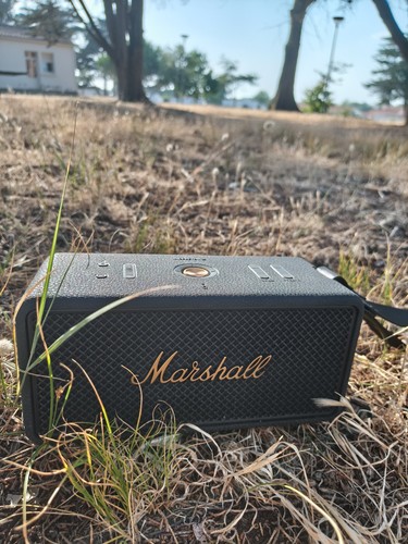 Marshall middleton enceinte - marshall,