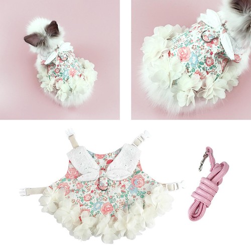Lapin gilet harnais laisse - lapin,
