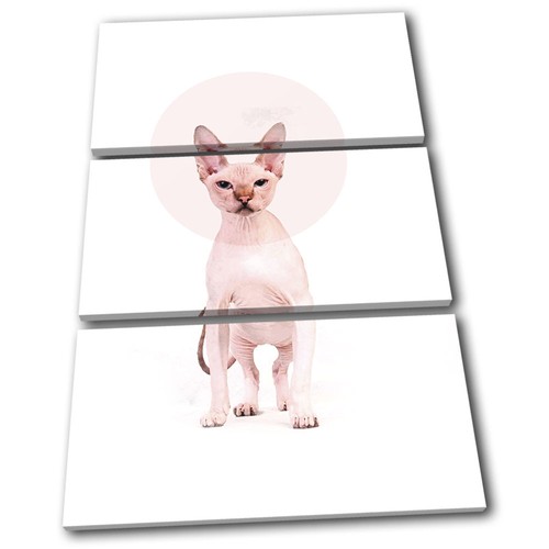 Sphynx cat bald - modern, circle