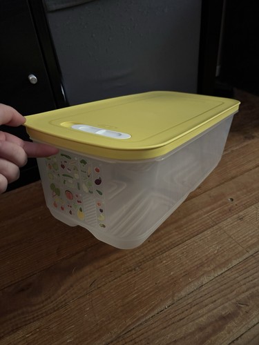 Tupperware boîte conservation