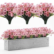 Floral Décoration Fleurs