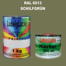 Kit En Couleur Ral 6013 Mat