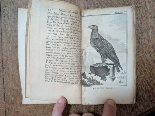 Livre ancien buffon histoire - ancien-,
