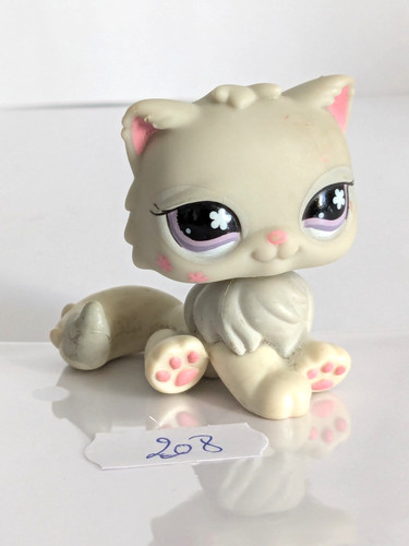 Petshop chat persan 609 - ,