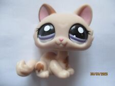 PETSHOP CHAT SPHYNX N°1444