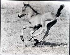 Photo De Presse Vintage