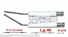 Electrode d'allumage cosse de