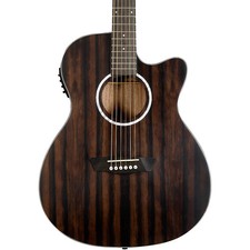 Washburn Deep Forest Ebony ACE
