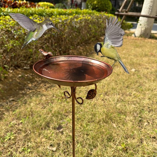 Bain oiseaux extérieur en - extérieur,